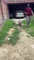 Zabar video